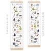 Alphabet Canvas and Wood Height Chart