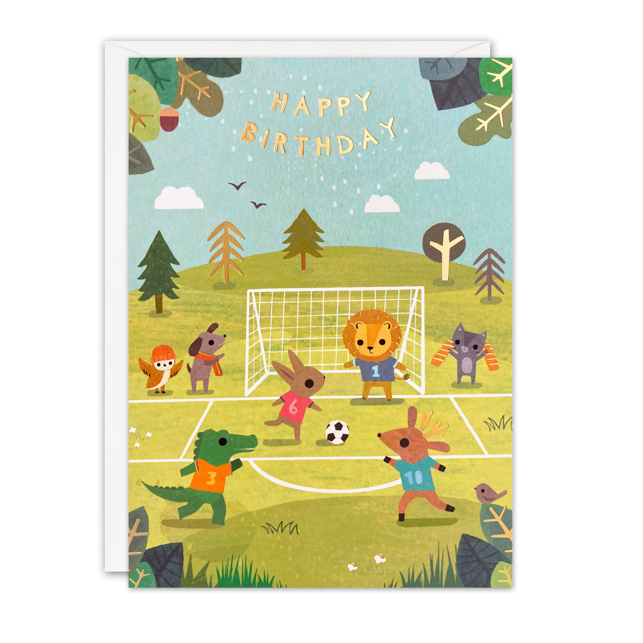 Football Birthday Card by James Ellis