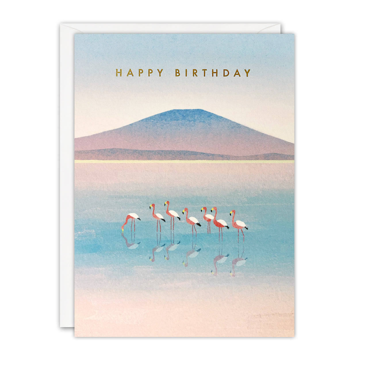 Flamingo Birthday Card by James Ellis