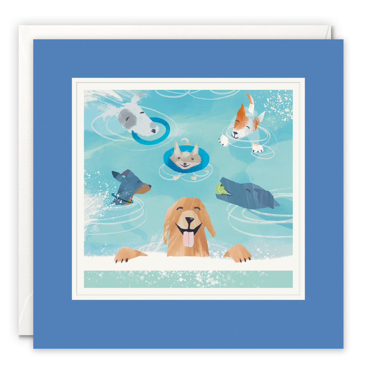 Dog Day at the Lido by Gill Wild