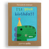 Dinosaur and Friends Pack of Five Mini Birthday Cards by James Ellis