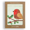 Robin Mini Christmas Card by James Ellis