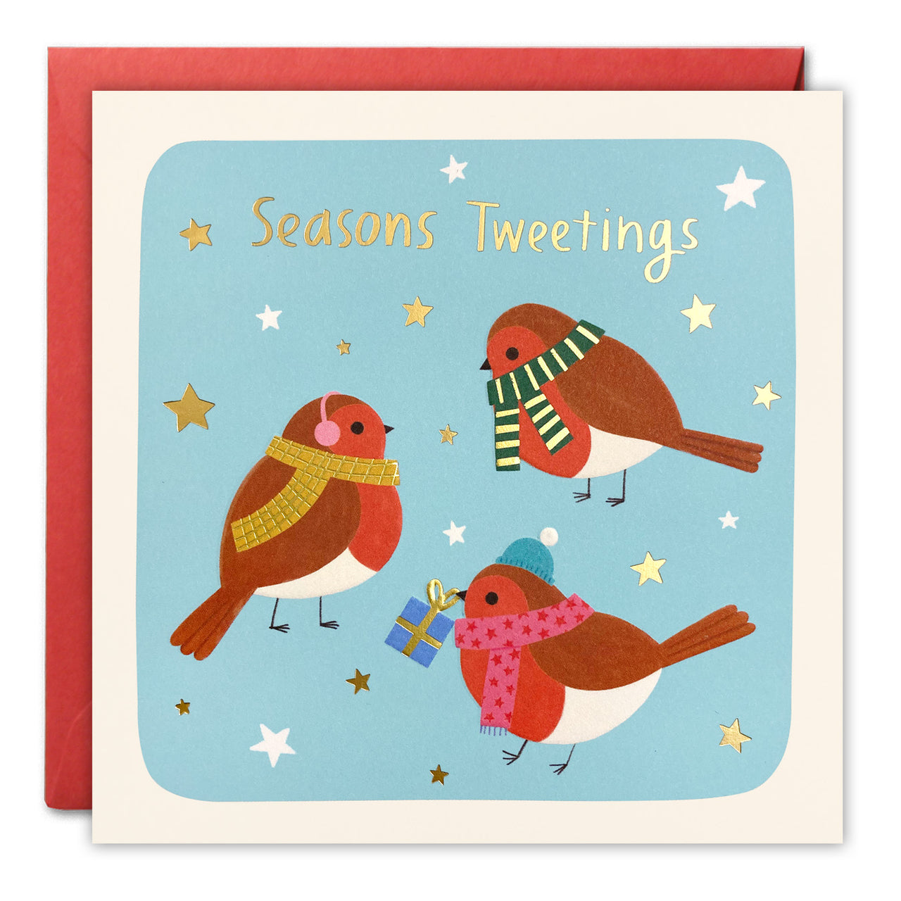 Seasons Tweetings Christmas Card by James Ellis