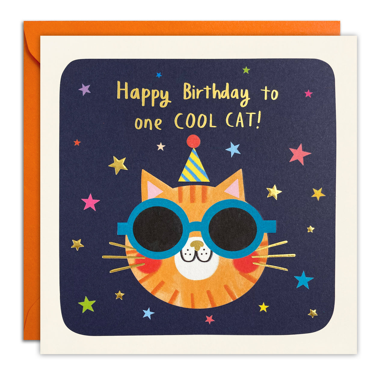 Cool Cat Birthday Card by James Ellis