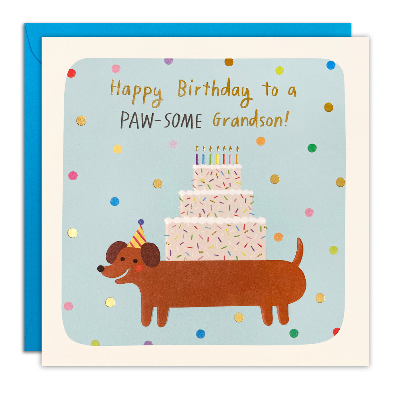 Paw-some Grandson Birthday Card by James Ellis