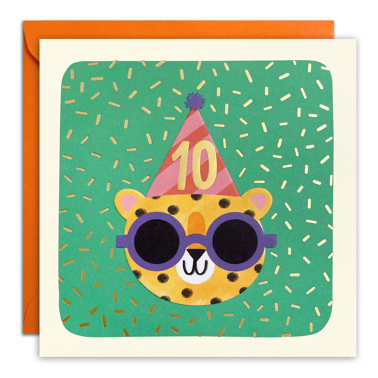 Age 10 Cheetah Birthday Card by James Ellis