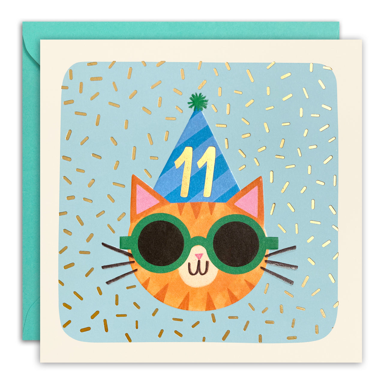 Age 11 Cat Birthday Card by James Ellis