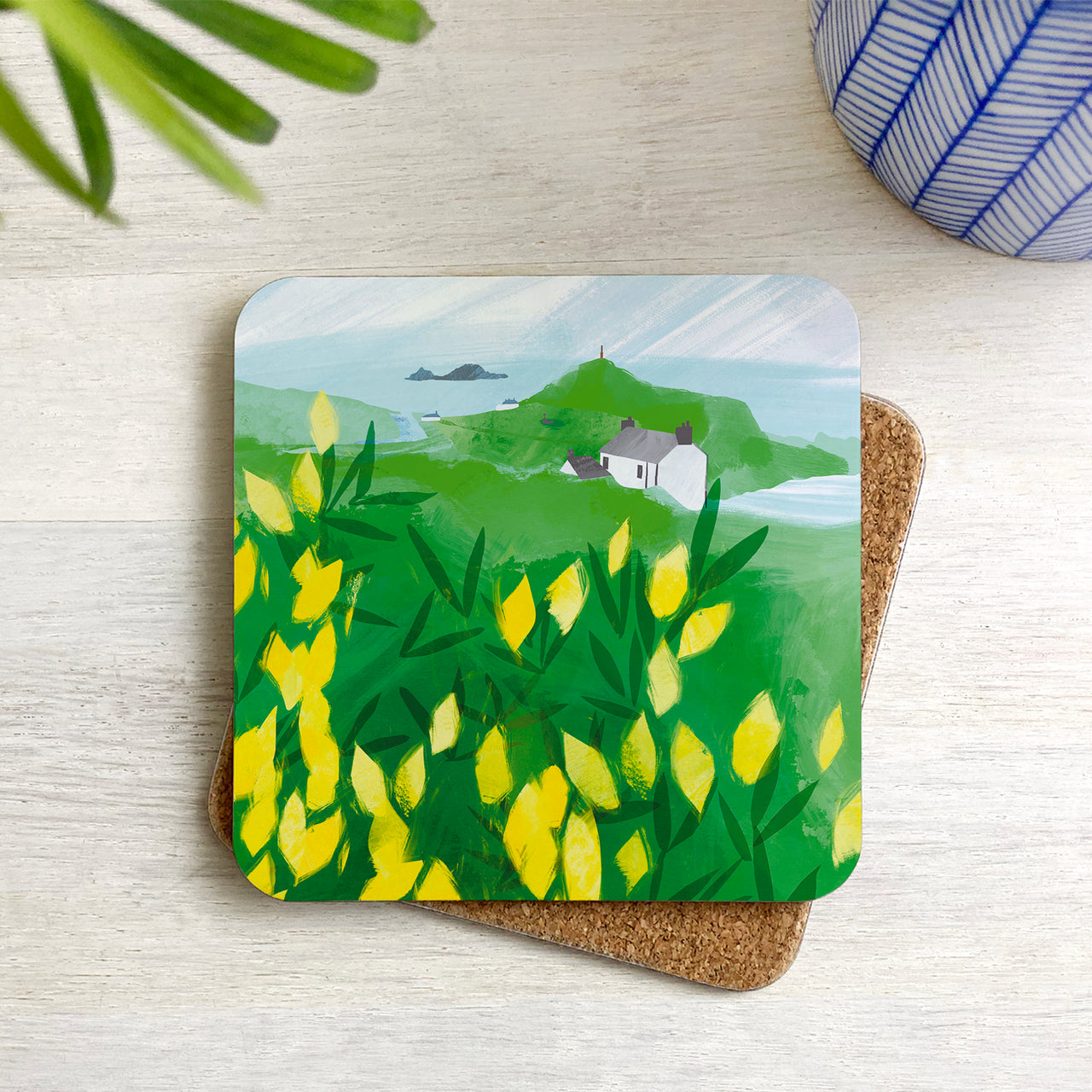 Golden Gorse Cape Coaster by James Ellis