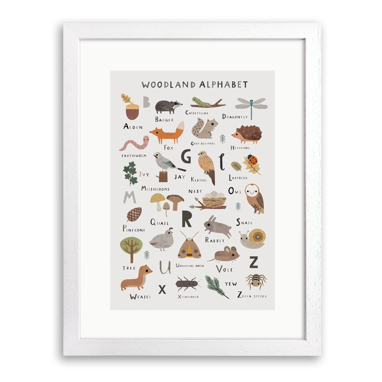 Woodland Alphabet Print by Linda Tordoff