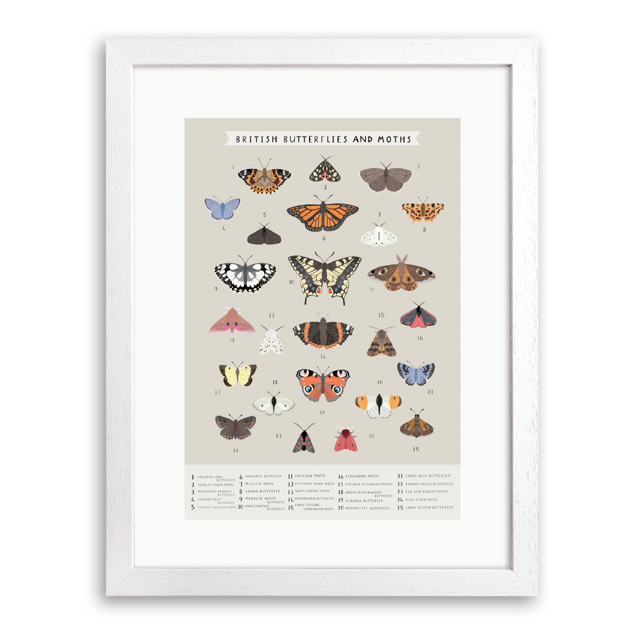 British Butterflies and Moths Print by Linda Tordoff