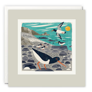 St Loy's Cove Oystercatchers Art Card by Matt Johnson