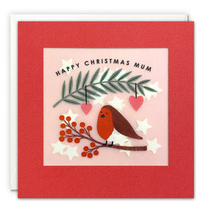 Mum Robin Christmas Card with Paper Confetti - Paper Shakies by James Ellis