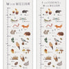 Woodland Alphabet Canvas and Wood Height Chart